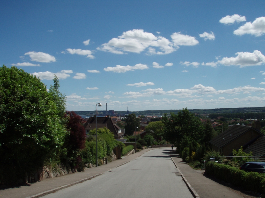 Aabenraa Bjergmarathon Marathon Pictures - Tor Rnnow