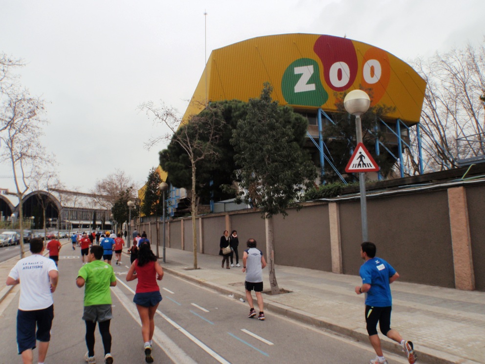 Barcelona marathon 2010 Pictures - Tor Rnnow