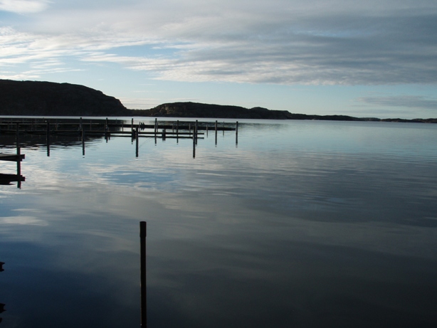 Bovallstrand Marathon Pictures - Tor Rnnow