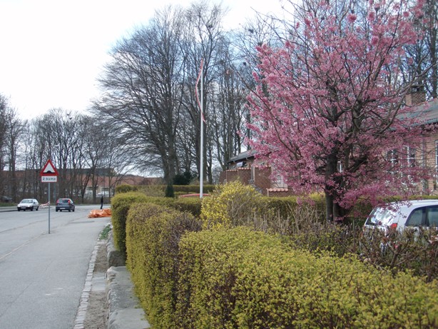 Aalborg Brutal Marathon Pictures - Tor Rnnow