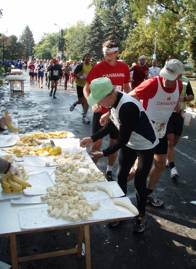 Budapest Marathon Pictures - Tor Rnnow