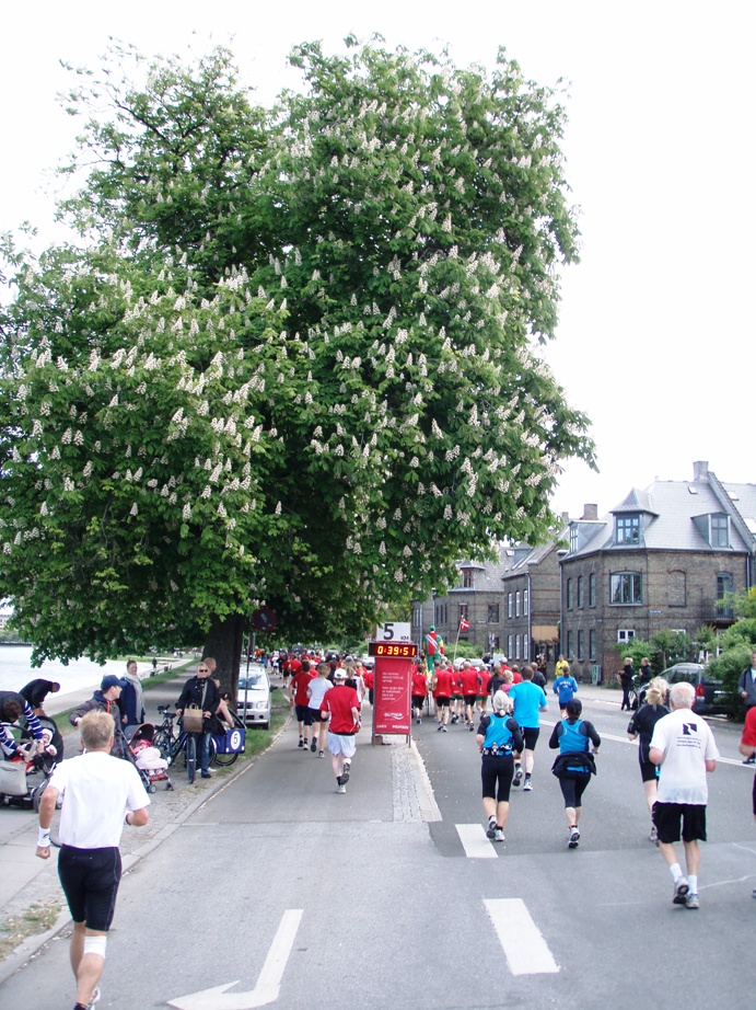 Copenhagen Marathon Pictures - Tor Rnnow