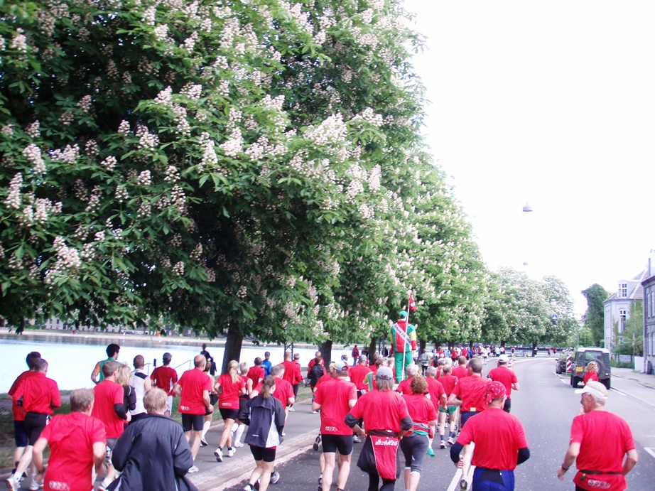 Copenhagen Marathon Pictures - Tor Rnnow