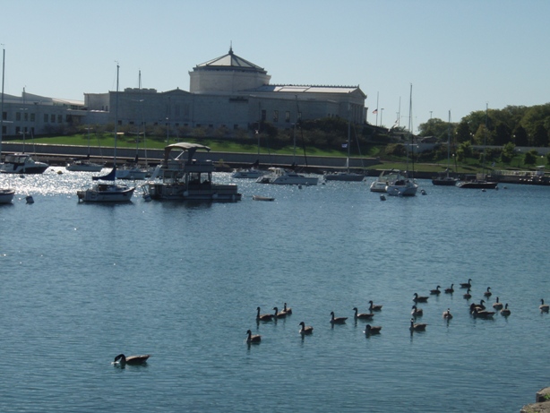 Chicago Marathon Pictures - Tor Rnnow