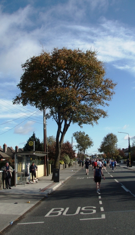 Dublin Marathon Pictures - Tor Rnnow