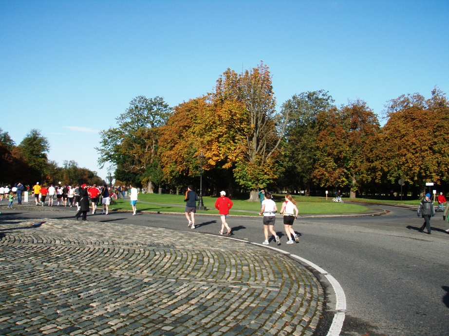 Dublin Marathon Pictures - Tor Rnnow