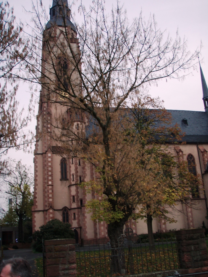 Frankfurt Marathon Pictures - Tor Rnnow