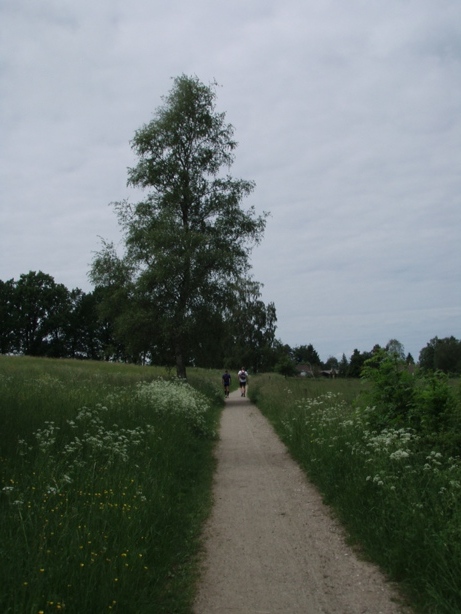 GARMIN Rudersdal Marathon Pictures - Tor Rnnow