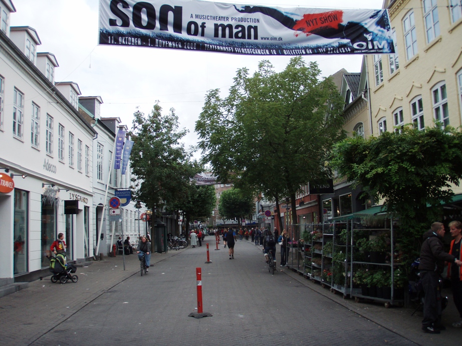 Odense HCA Marathon Pictures - Tor Rnnow