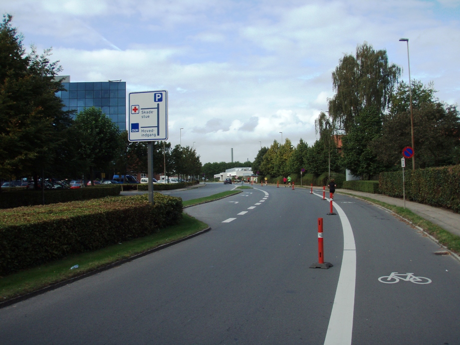 Odense HCA Marathon Pictures - Tor Rnnow