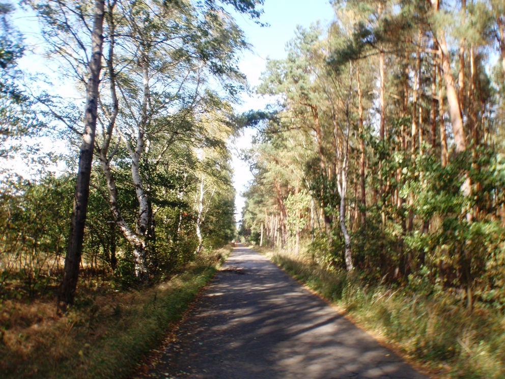 Heide-Elbe marathon 2009 Pictures - Tor Rnnow