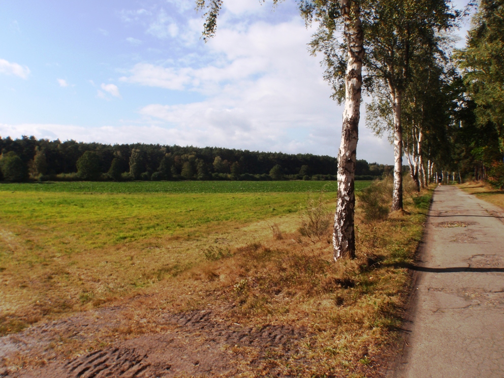 Heide-Elbe marathon 2009 Pictures - Tor Rnnow