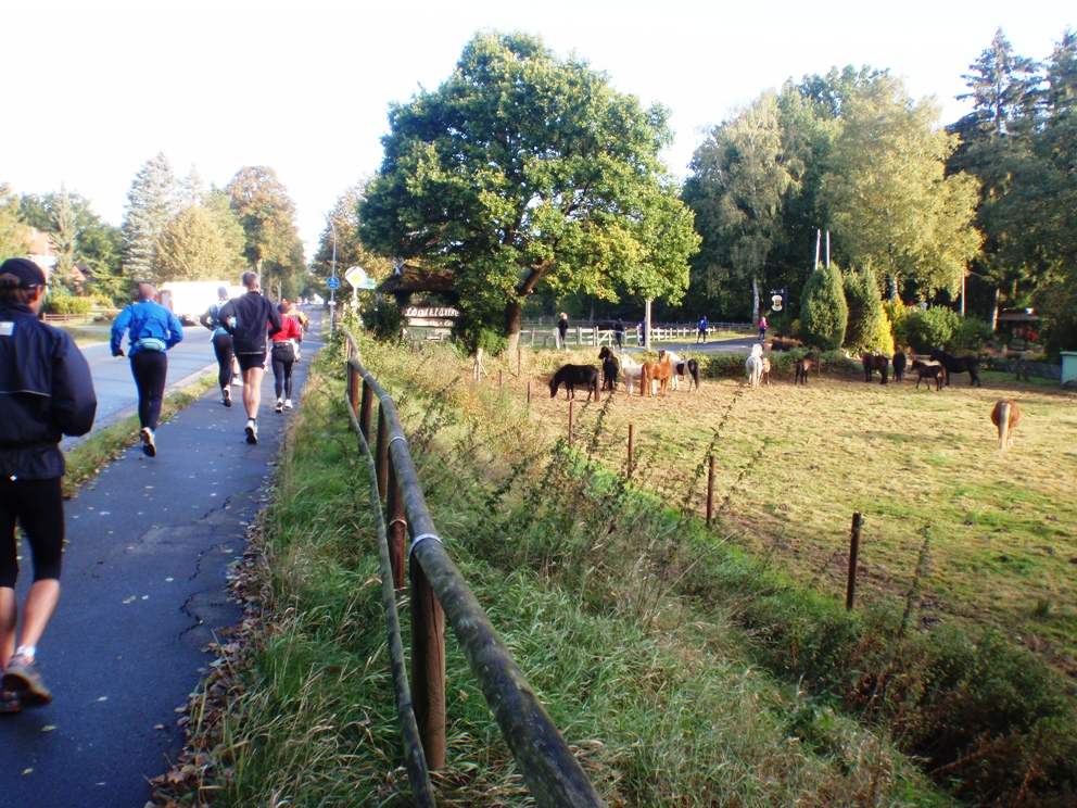 Heide-Elbe marathon 2009 Pictures - Tor Rnnow