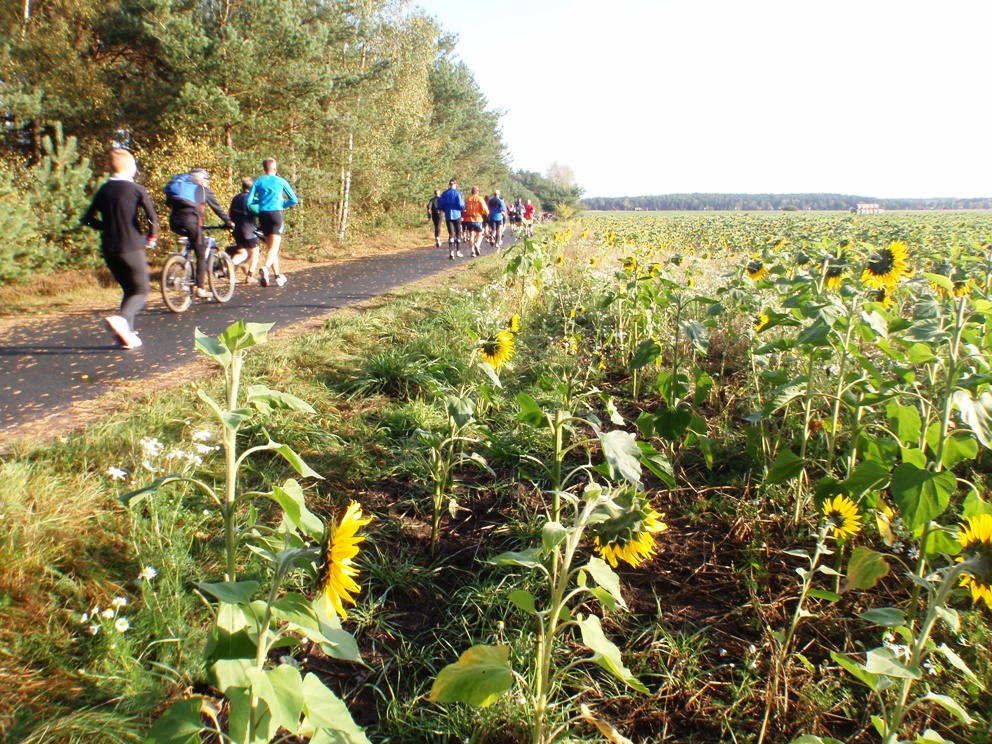 Heide-Elbe marathon 2009 Pictures - Tor Rnnow