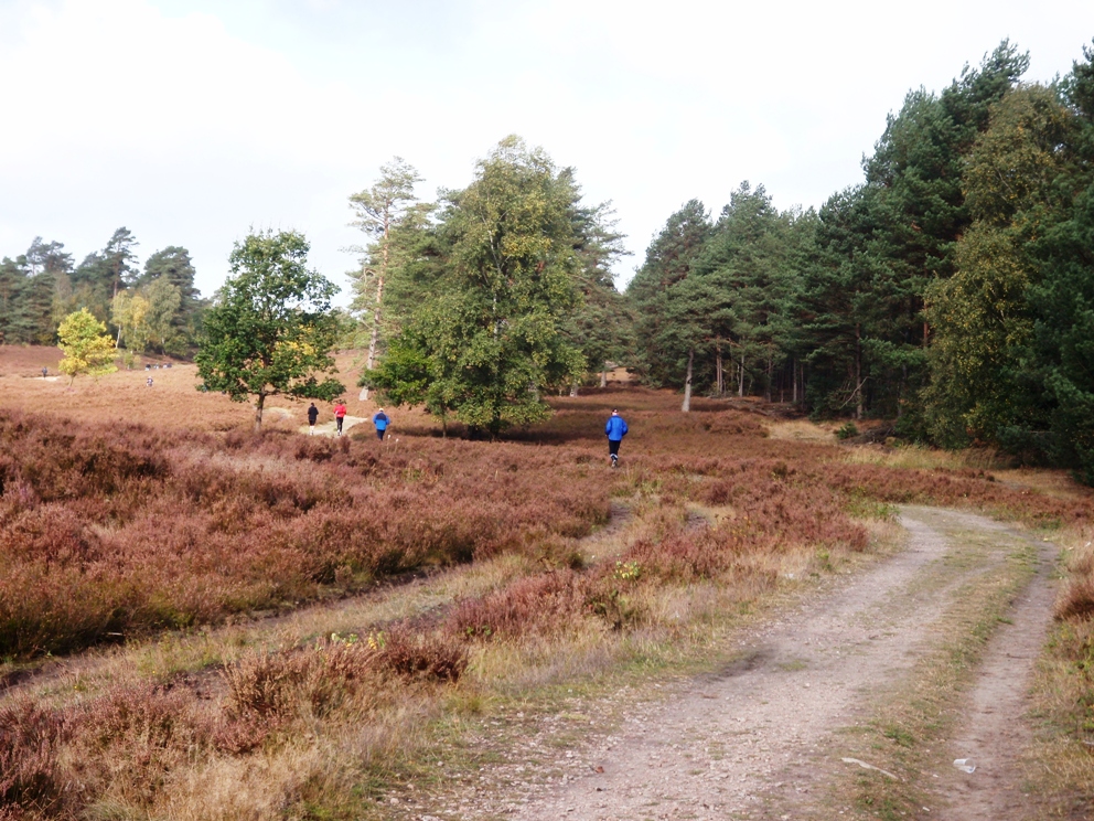 Heide-Elbe marathon 2009 Pictures - Tor Rnnow