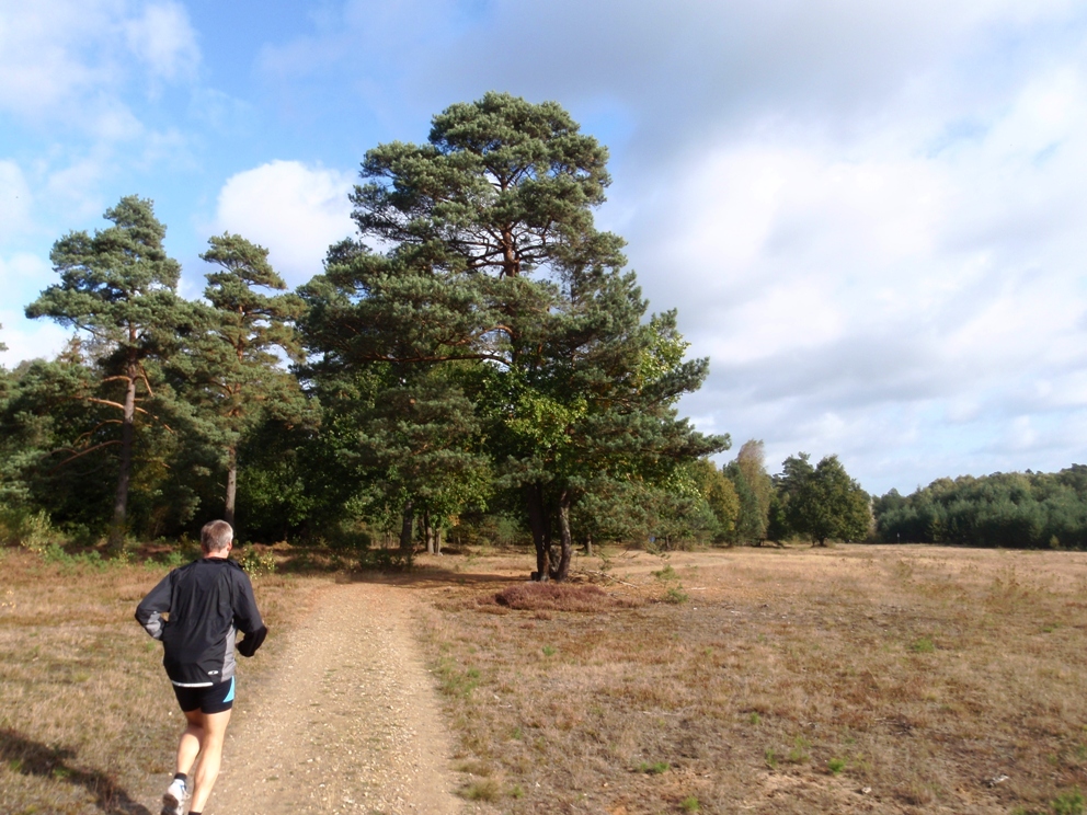 Heide-Elbe marathon 2009 Pictures - Tor Rnnow