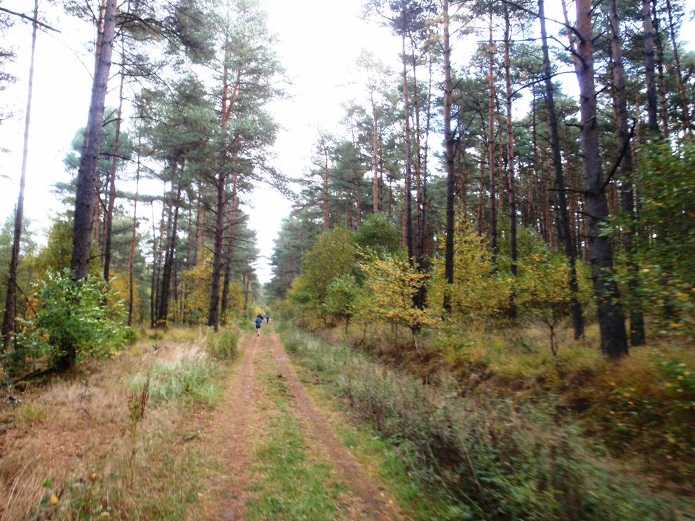 Heide-Elbe marathon 2009 Pictures - Tor Rnnow