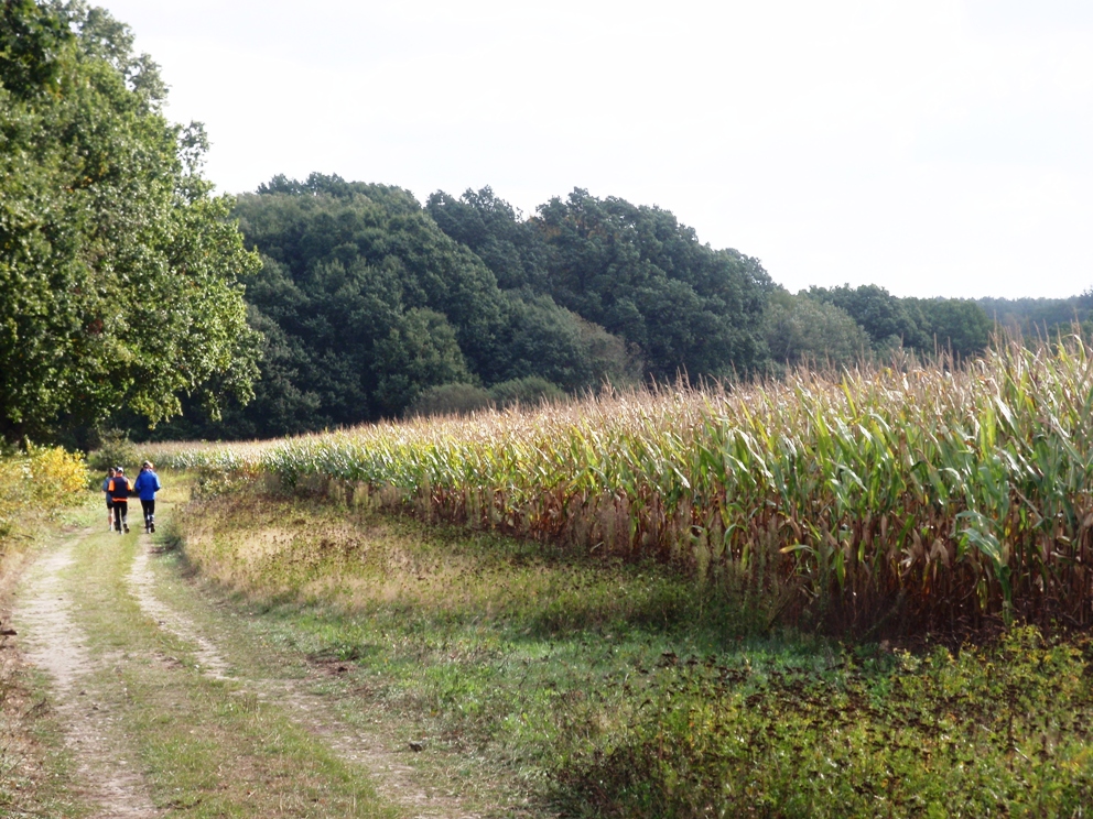 Heide-Elbe marathon 2009 Pictures - Tor Rnnow