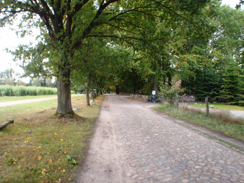 Heide-Elbe marathon 2009 Pictures - Tor Rnnow