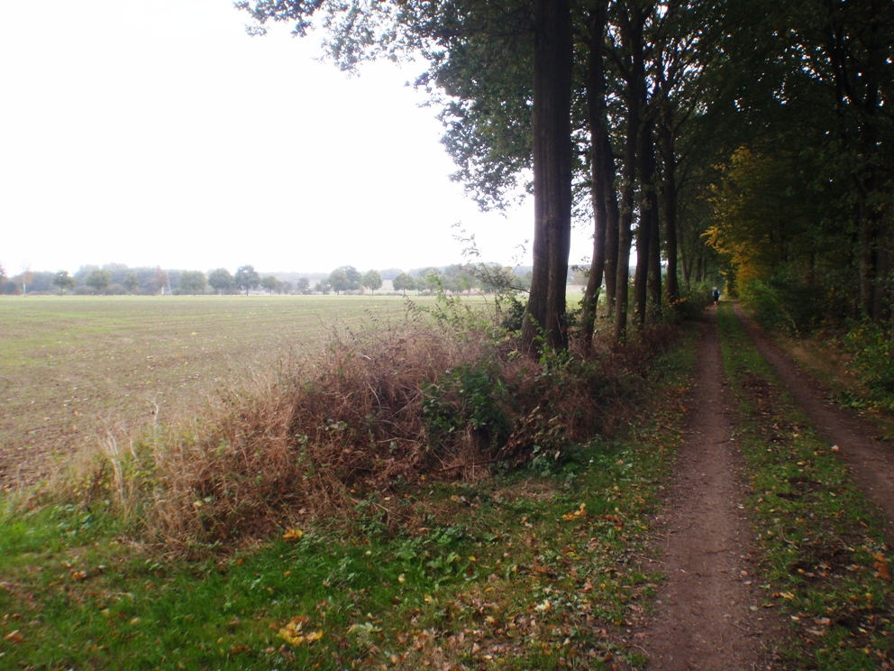 Heide-Elbe marathon 2009 Pictures - Tor Rnnow