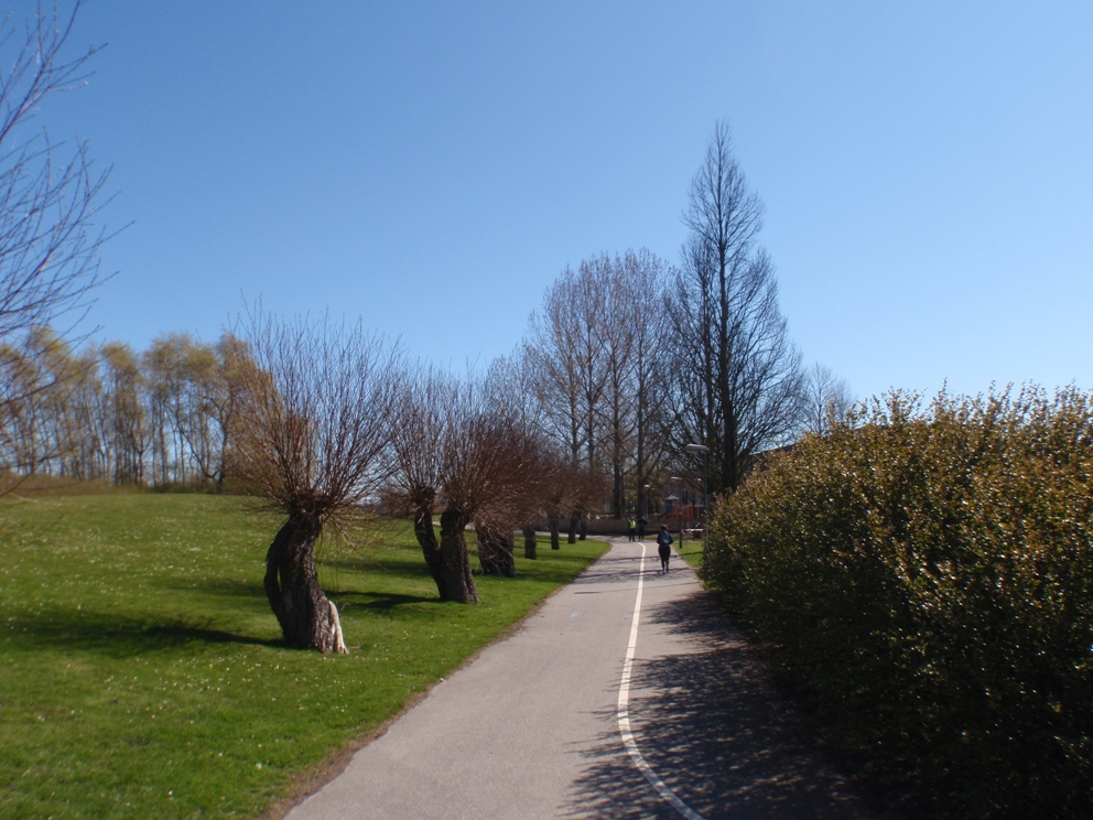 Heleneholm Marathon Pictures - Tor Rnnow