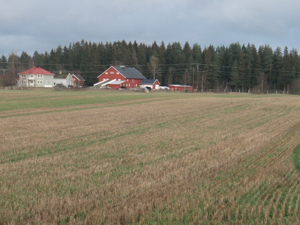 Jessheim Marathon Pictures - Tor Rnnow