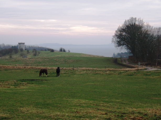 Kalundborg Vintermarathon Marathon Pictures - Tor Rnnow