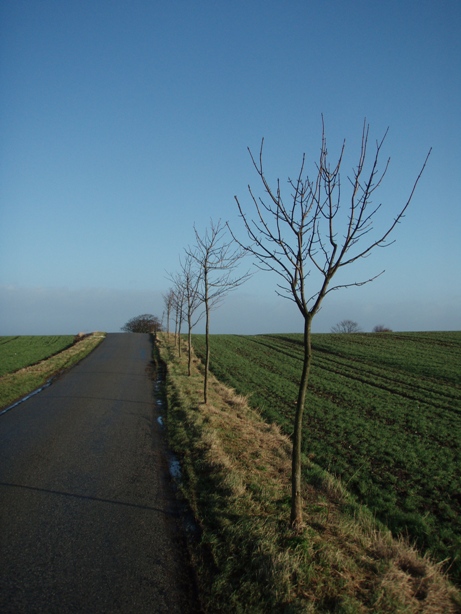 Kalundborg Vintermarathon Marathon Pictures - Tor Rnnow