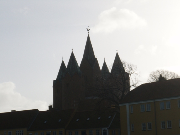 Kalundborg Vintermarathon Marathon Pictures - Tor Rnnow