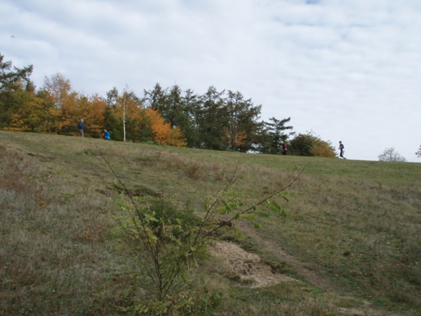 Kaltenkirschen Marathon Pictures - Tor Rnnow