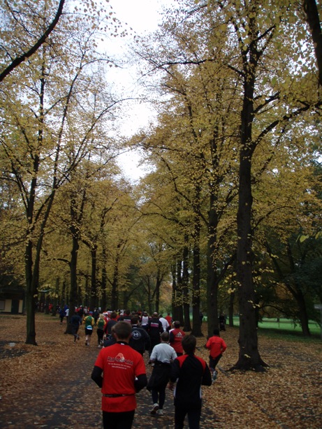 Magdeburg Marathon Pictures - Tor Rnnow