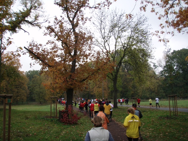 Magdeburg Marathon Pictures - Tor Rnnow