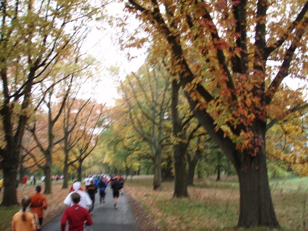 Magdeburg Marathon Pictures - Tor Rnnow