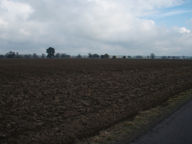 Magdeburg Marathon Pictures - Tor Rnnow