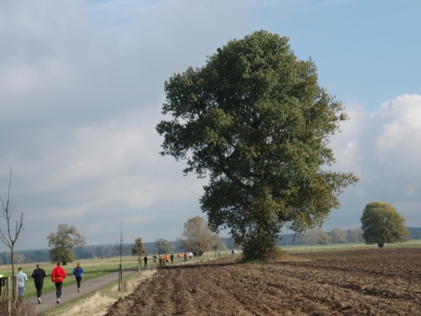 Magdeburg Marathon Pictures - Tor Rnnow