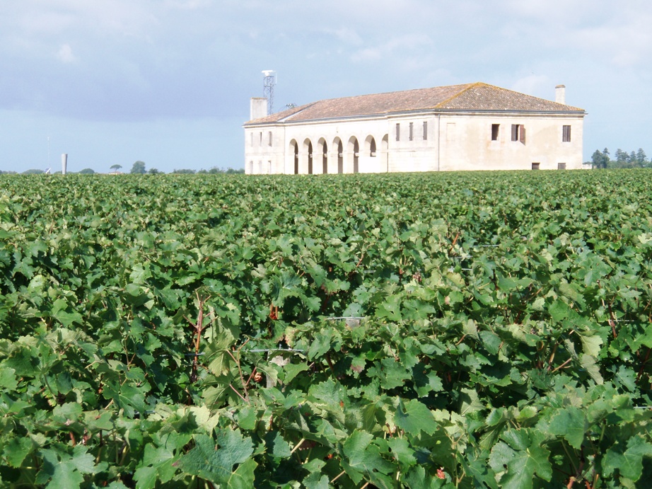 Medoc Marathon Pictures - Tor Rnnow