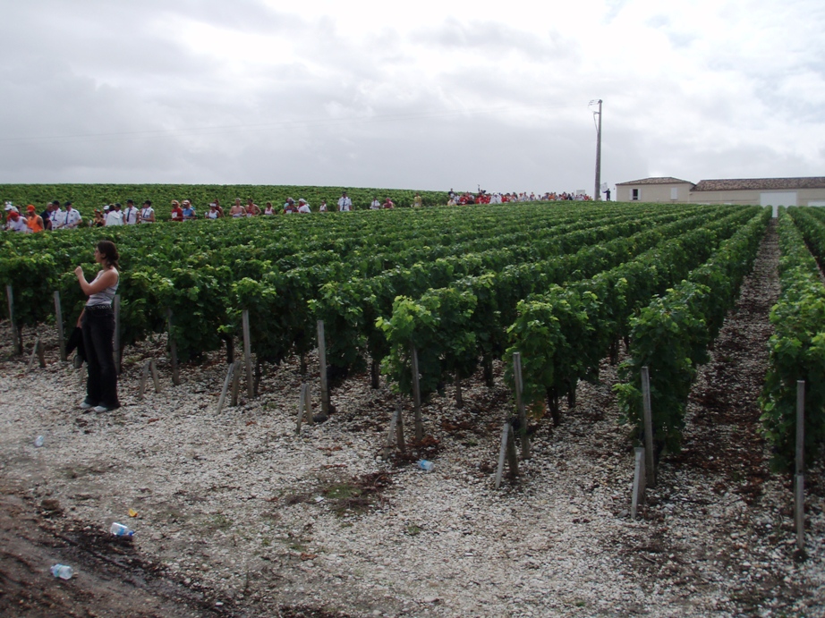 Medoc Marathon Pictures - Tor Rnnow