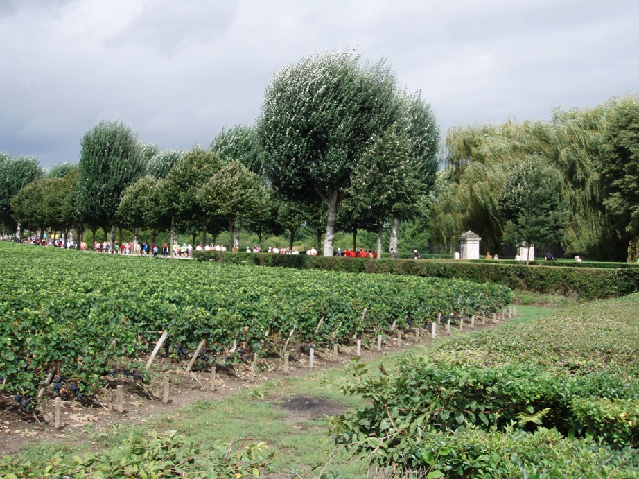 Medoc Marathon Pictures - Tor Rnnow