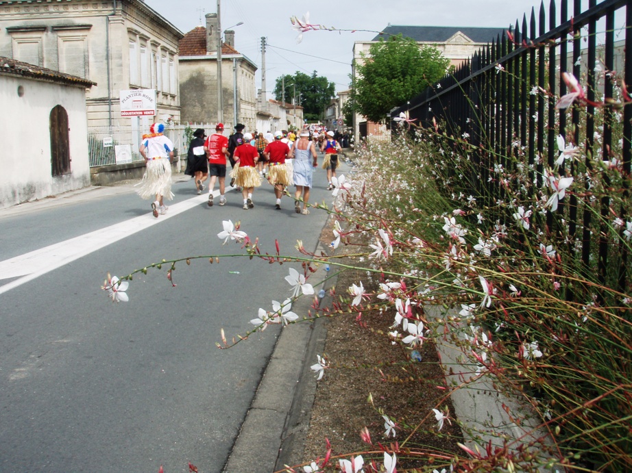 Medoc Marathon Pictures - Tor Rnnow