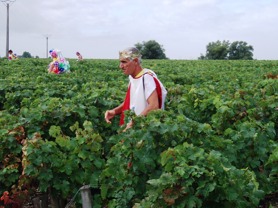 Medoc Marathon Pictures - Tor Rnnow