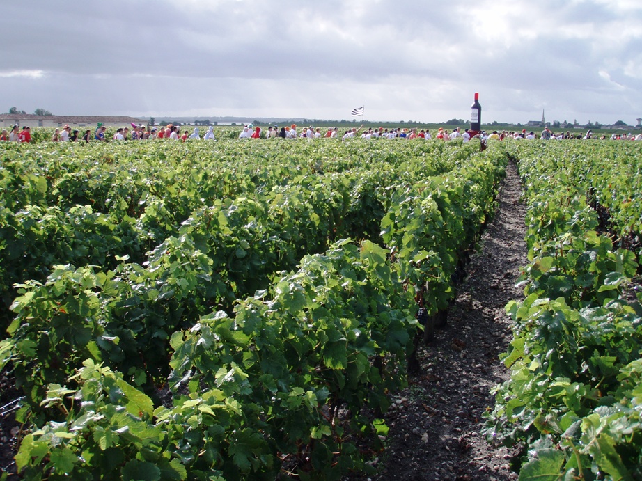 Medoc Marathon Pictures - Tor Rnnow