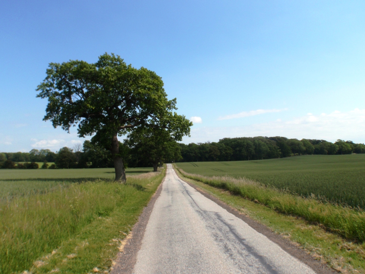 Natursmarathon Marathon Pictures - Tor Rnnow