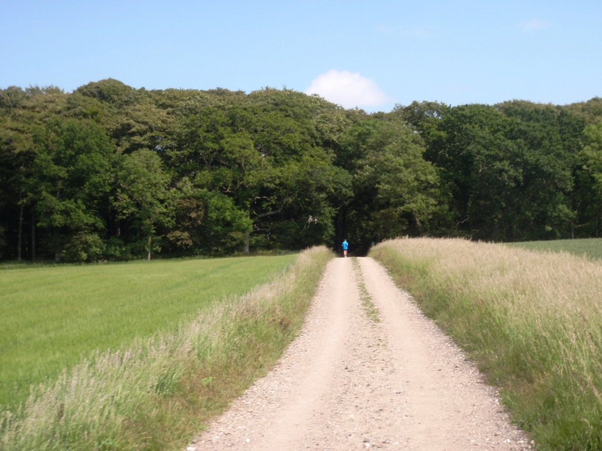 Natursmarathon Marathon Pictures - Tor Rnnow