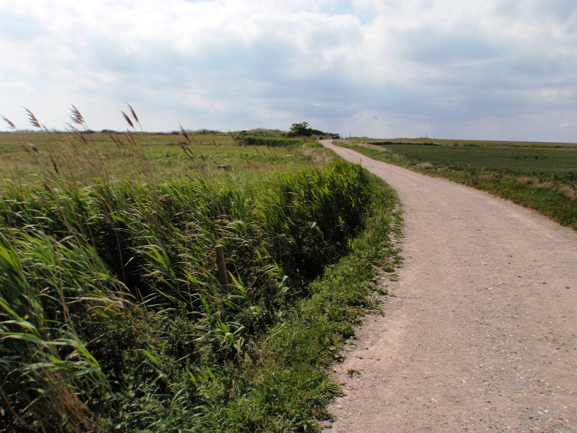 Natursmarathon Marathon Pictures - Tor Rnnow