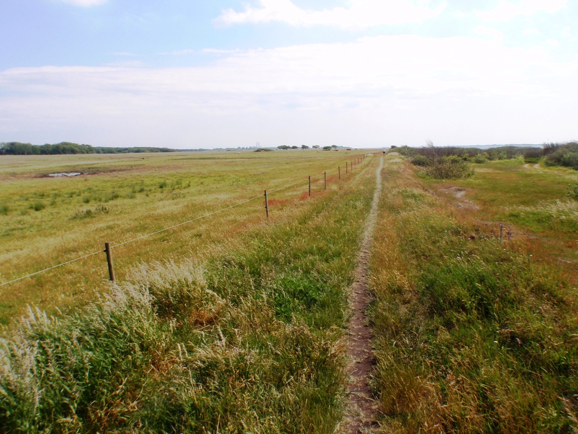 Natursmarathon Marathon Pictures - Tor Rnnow