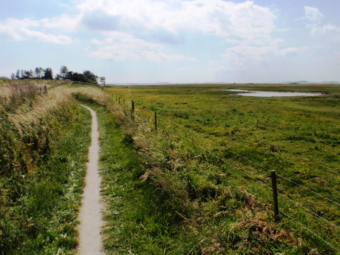 Natursmarathon Marathon Pictures - Tor Rnnow