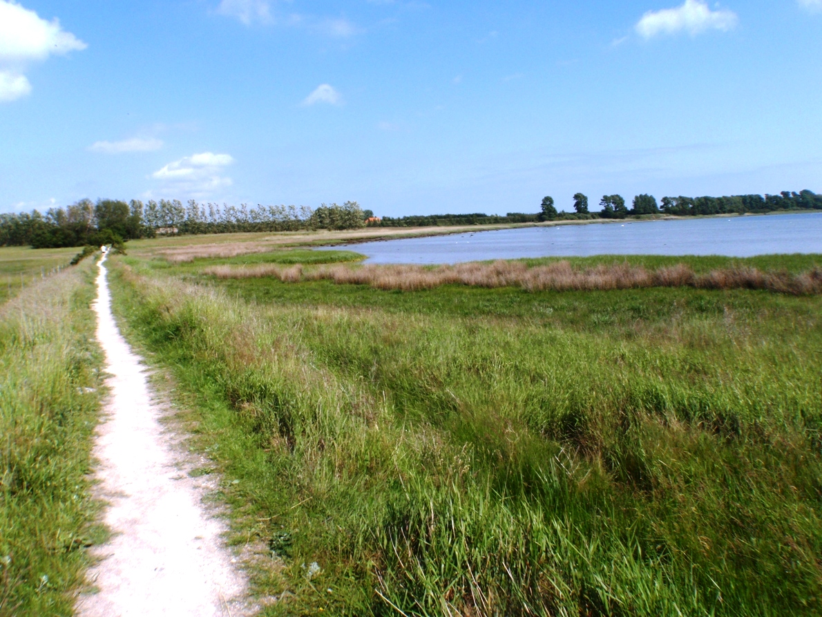 Natursmarathon Marathon Pictures - Tor Rnnow