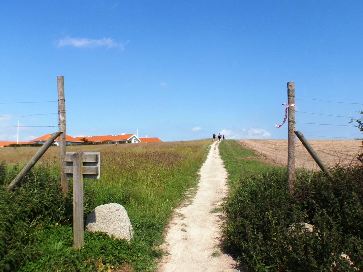 Natursmarathon Marathon Pictures - Tor Rnnow