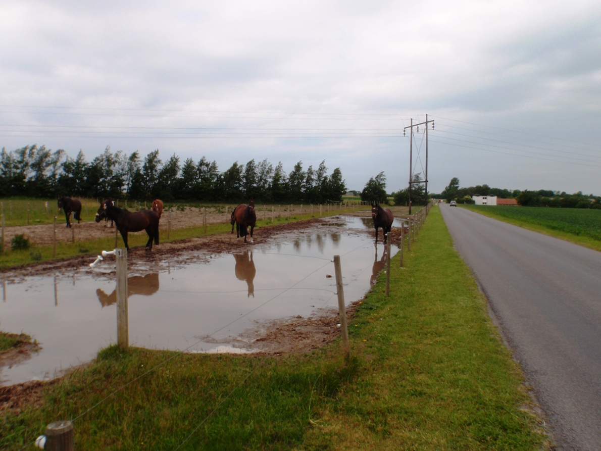 Natursmarathon Marathon Pictures - Tor Rnnow