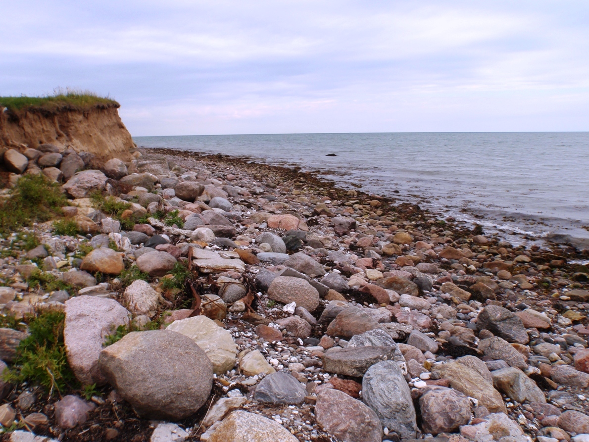 Natursmarathon Marathon Pictures - Tor Rnnow